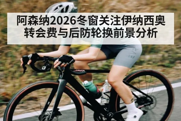 阿森纳2026冬窗关注伊纳西奥 转会费与后防轮换前景分析